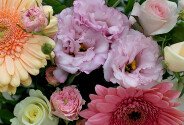 Buchet din trandafiri crem si roz, gerbere si eustoma — foto 2