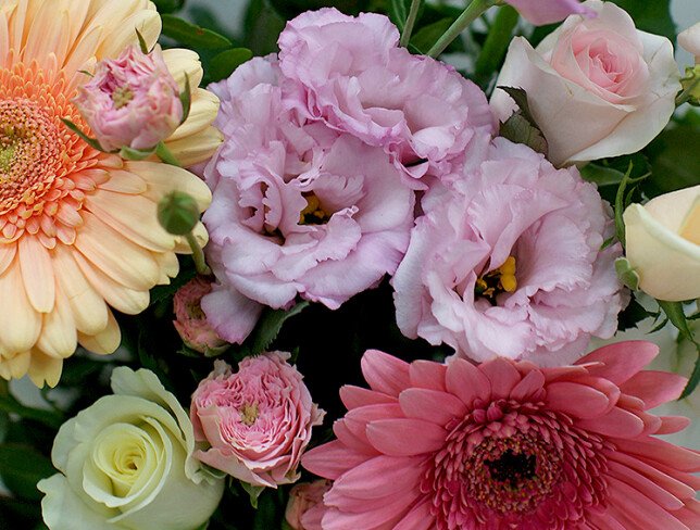 Buchet din trandafiri crem si roz, gerbere si eustoma foto