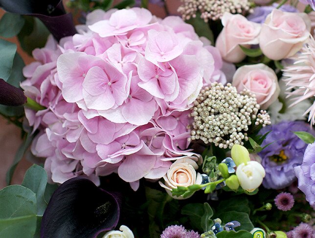 Bouquet of pink hydrangea, gerberas and calla lilies “Dance of Tenderness” photo