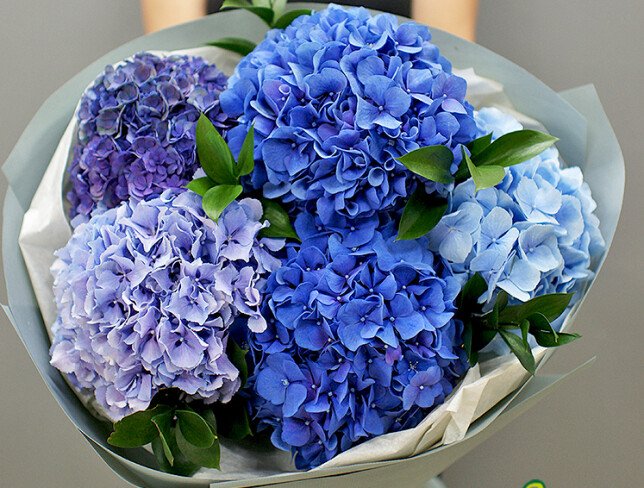 Buchet din 5 hortensii foto