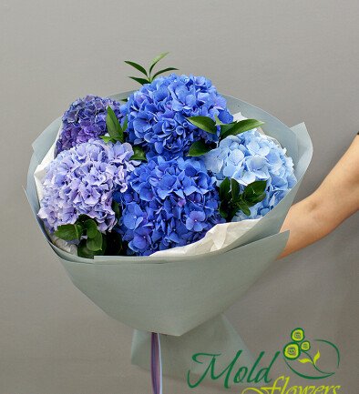 Buchet din 5 hortensii foto 394x433