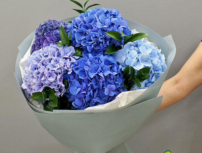Buchet din 5 hortensii foto