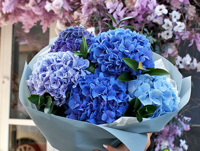 Buchet din 5 hortensii foto