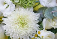Buchet din crizantema, romanita si eustoma „Gingasie pura” — foto 4