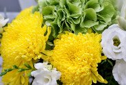 Bouquet of green hydrangea, lilies and yellow chrysanthemums — photo 2