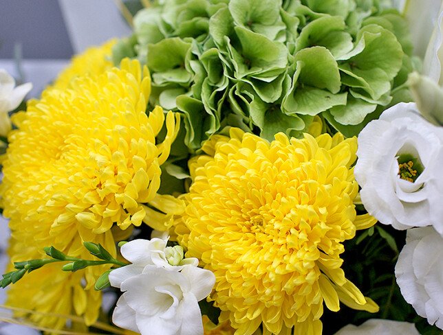 Bouquet of green hydrangea, lilies and yellow chrysanthemums photo