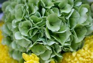 Bouquet of green hydrangea, lilies and yellow chrysanthemums — photo 4