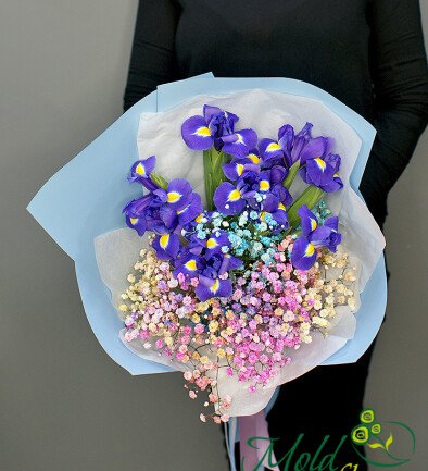 Bouquet of irises and multicolored gypsophila photo 394x433