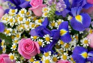 Buchet din trandafiri roz, irisi violeti si romanite — foto 2