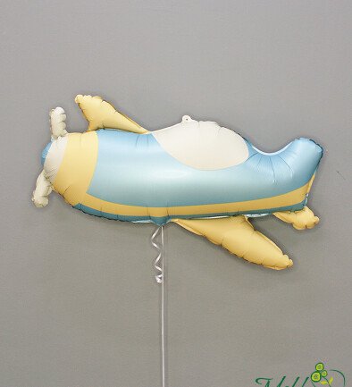 Balon cu heliu „Avion” foto 394x433