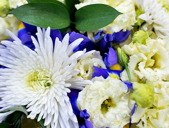 Buchet cu iriși, eustoma și crizanteme „Armonia cerului” foto