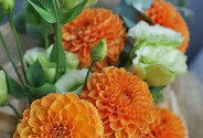 Buchet din dalii portocalii și eustoma — foto 5