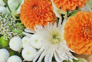 Bouquet of chrysanthemums and dahlias "Charm of the Day" — photo 3