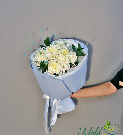 Bouquet of white chrysanthemums Vienna "White Accent"