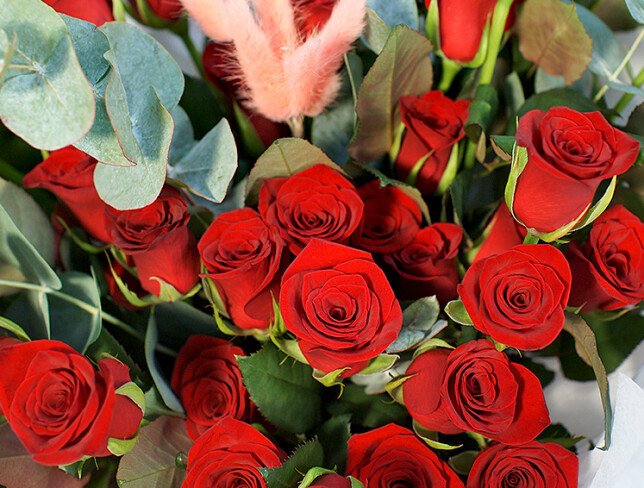 Bouquet of red roses "Magic of Love" photo