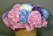 Wicker basket with multicolored hydrangeas — photo 1