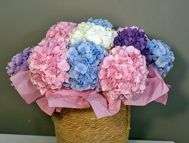 Wicker basket with multicolored hydrangeas photo