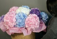 Wicker basket with multicolored hydrangeas — photo 2