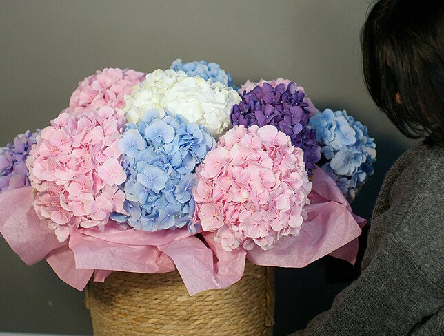 Wicker basket with multicolored hydrangeas photo