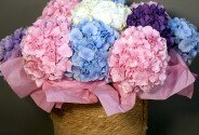 Wicker basket with multicolored hydrangeas — photo 4