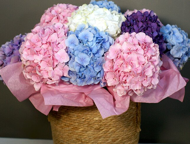 Wicker basket with multicolored hydrangeas photo