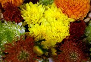 Compozitie florala din crizanteme multicolore si dalii portocalii — foto 4