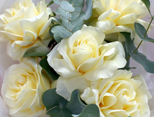 Buchet din trandafiri olandezi albi „Candlelight” — foto 2