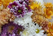 Bouquet of multicolored chrysanthemums “Autumn Warmth” — photo 3