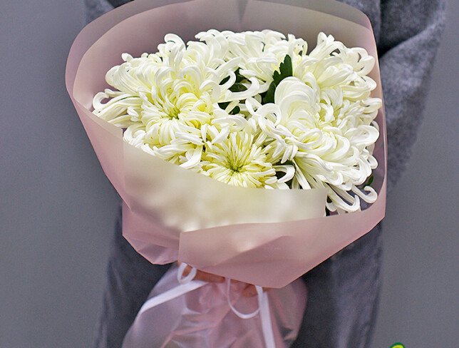 Bouquet of 5 white Vienа chrysanthemums — photo 2