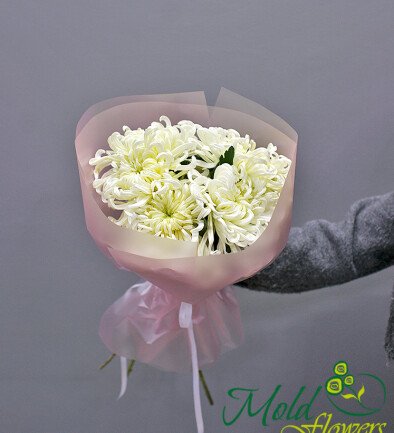 Bouquet of 5 white Vienа chrysanthemums