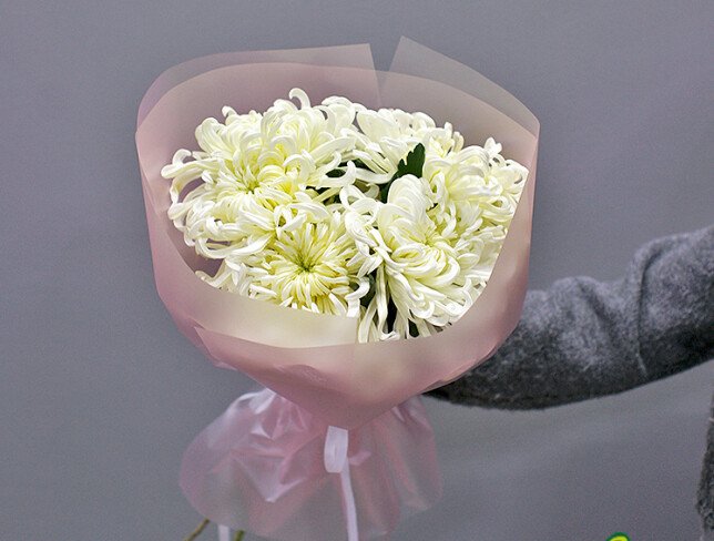 Bouquet of 5 white Vienа chrysanthemums