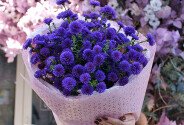 Букет из фиолетовых астр — фото 4