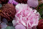Bouquet of pink hydrangea, protea, and chrysanthemums — photo 3
