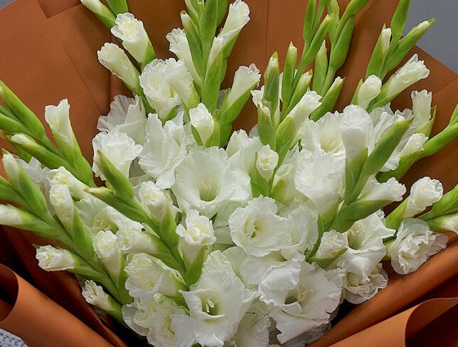 Buchet din 15 gladiole albe foto