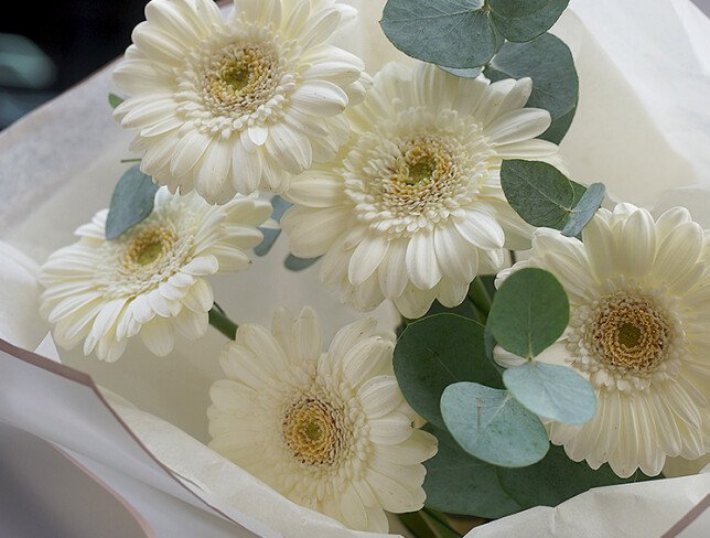 Bouquet of white gerberas and eucalyptus “White Smile” photo