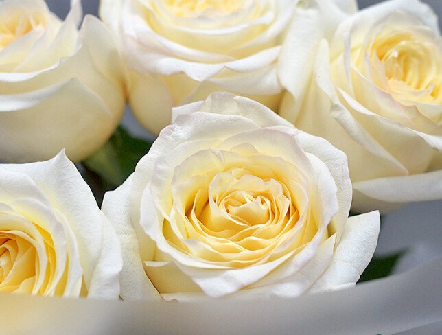 Buchet din 5 trandafiri albi "Candlelight" — foto 4