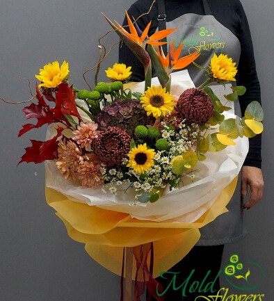 Buchet cu strelitzia, floarea soarelui si crizanteme Bigoudi " Rasarit tropical"