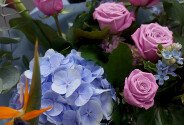 Buchet cu hortensie albastra, trandafiri mov si strelitzia — foto 2