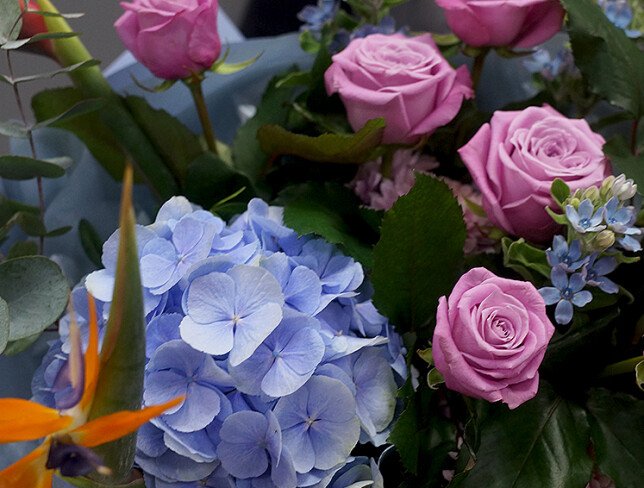 Buchet cu hortensie albastra, trandafiri mov si strelitzia — foto 2