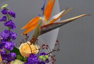 Buchet din trandafiri crem, mattiola mov și strelitzia — foto 5