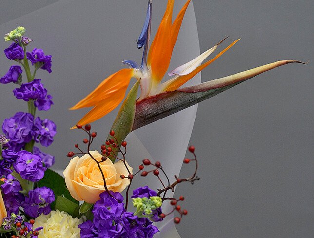 Buchet din trandafiri crem, mattiola mov și strelitzia — foto 5
