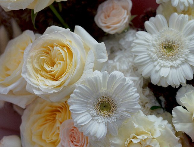 Buchet din trandafiri albi Candlelight, hortensie și gerbera "Dimineață vanilată" foto