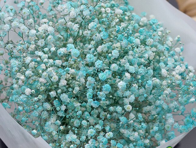 Bouquet of blue gypsophila photo