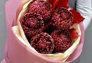 Buchet din 5 crizanteme maro — foto 4
