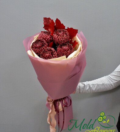 Buchet din 5 crizanteme maro foto 394x433