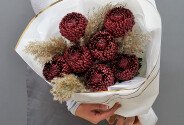 Букет из 7 коричневых шаровидных хризантем Bigoudi — фото 2