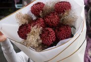 Букет из 7 коричневых шаровидных хризантем Bigoudi — фото 4