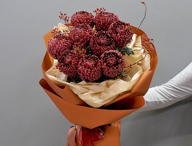 Bouquet of chrysanthemums Bigoudi "Burgundy Cloud"