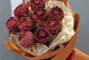 Bouquet of chrysanthemums Bigoudi "Burgundy Cloud" — photo 2