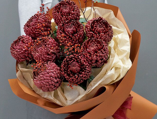 Bouquet of chrysanthemums Bigoudi "Burgundy Cloud" — photo 2